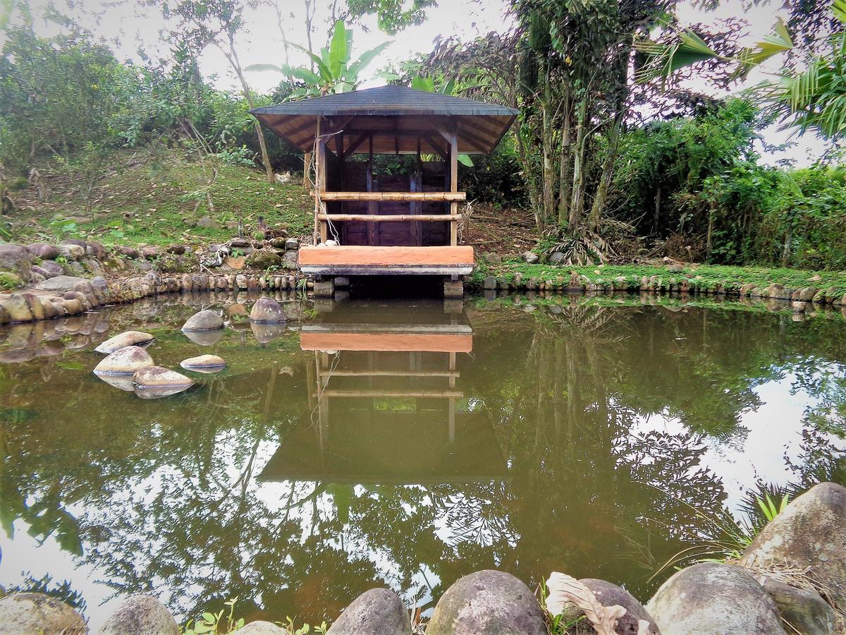 فندق تينافي  Wisdom Garden المظهر الخارجي الصورة