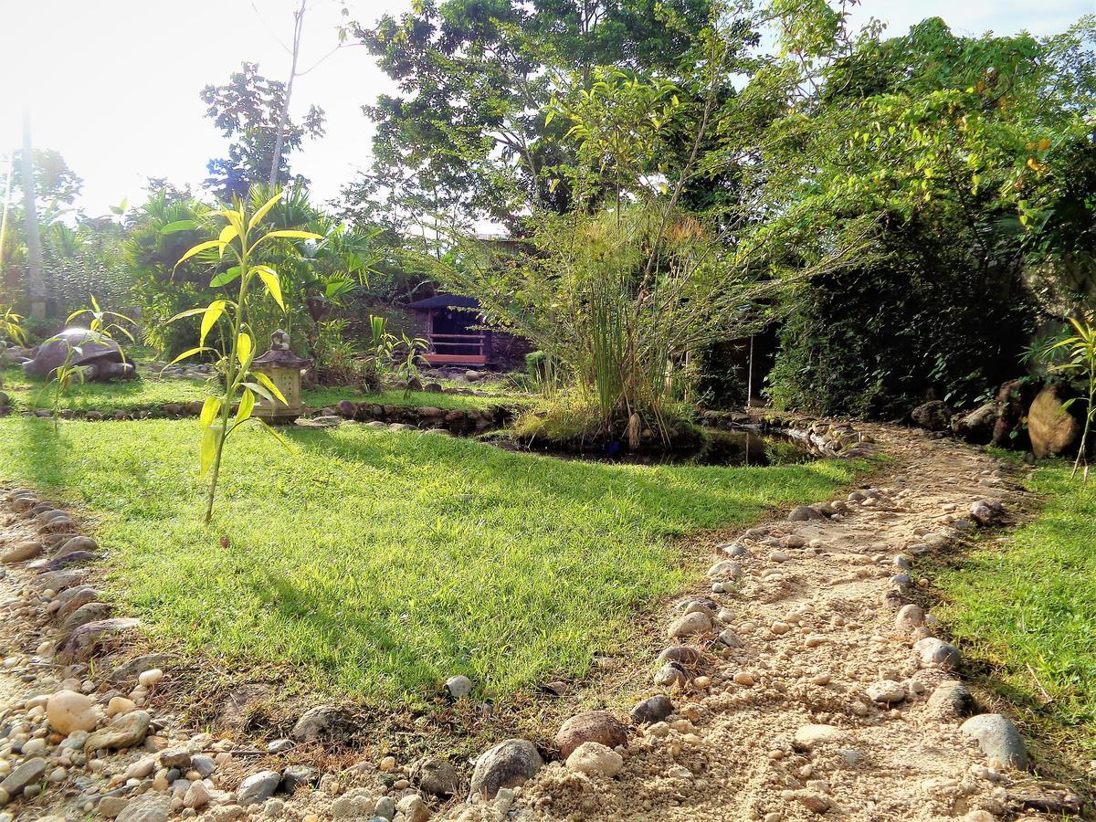 فندق تينافي  Wisdom Garden المظهر الخارجي الصورة