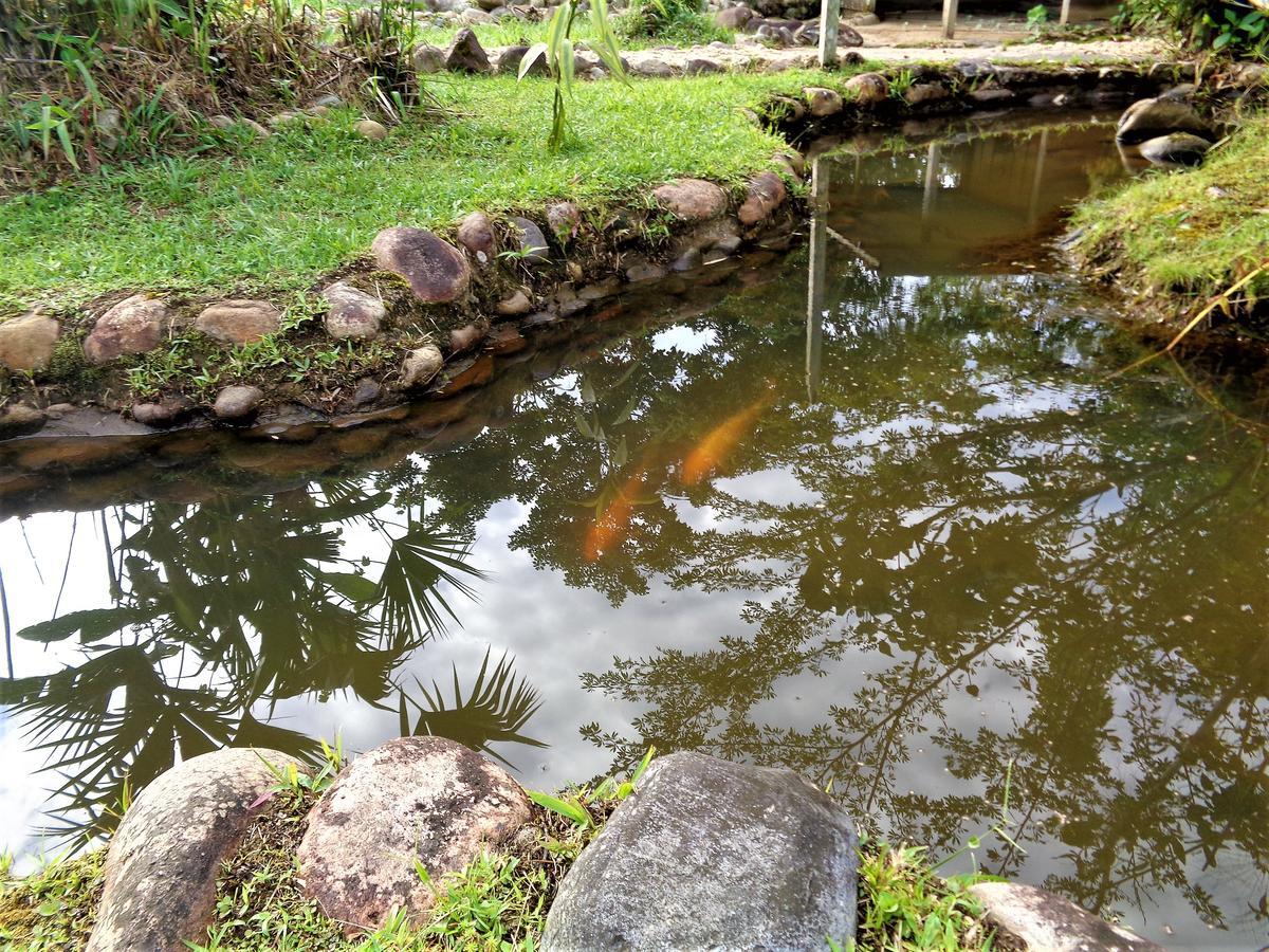 فندق تينافي  Wisdom Garden المظهر الخارجي الصورة