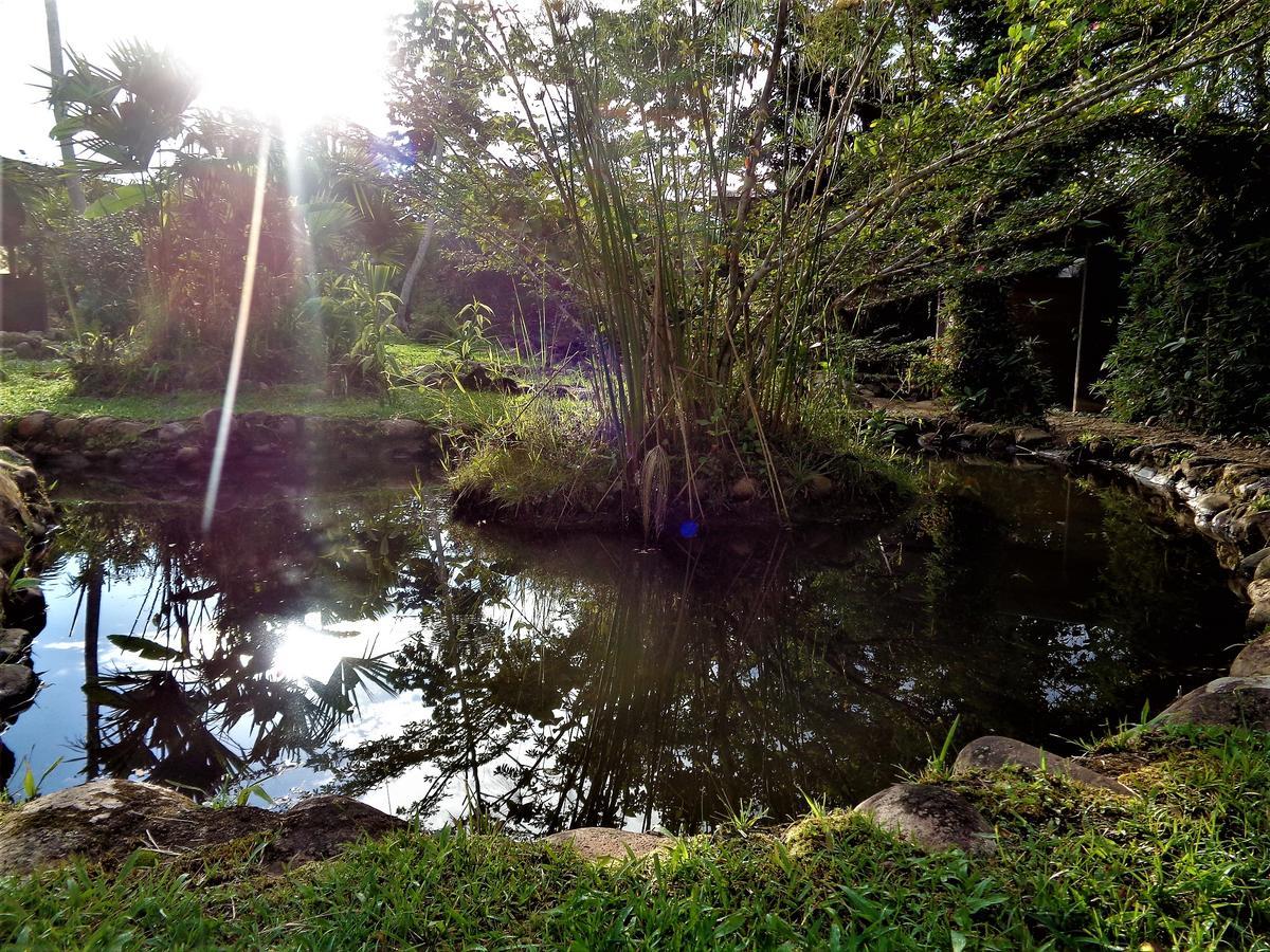 فندق تينافي  Wisdom Garden المظهر الخارجي الصورة