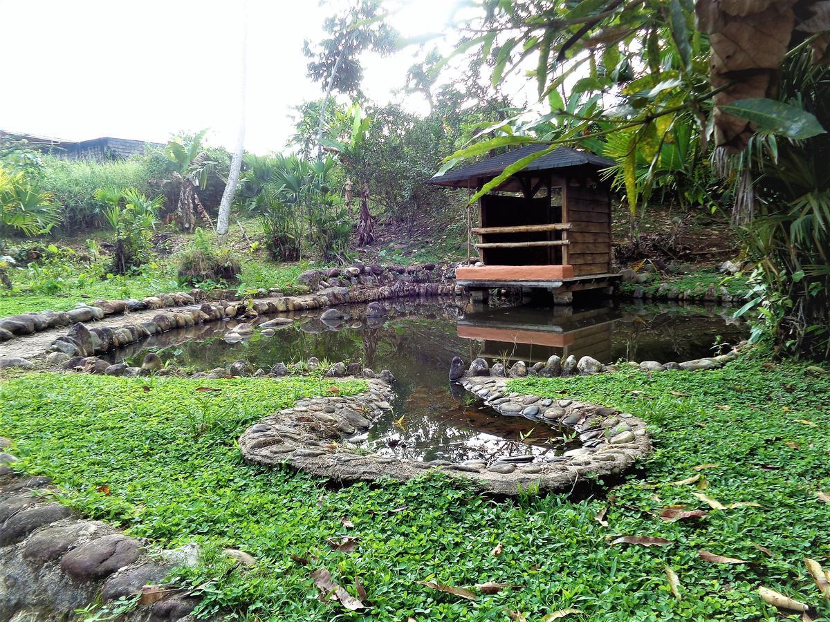 فندق تينافي  Wisdom Garden المظهر الخارجي الصورة